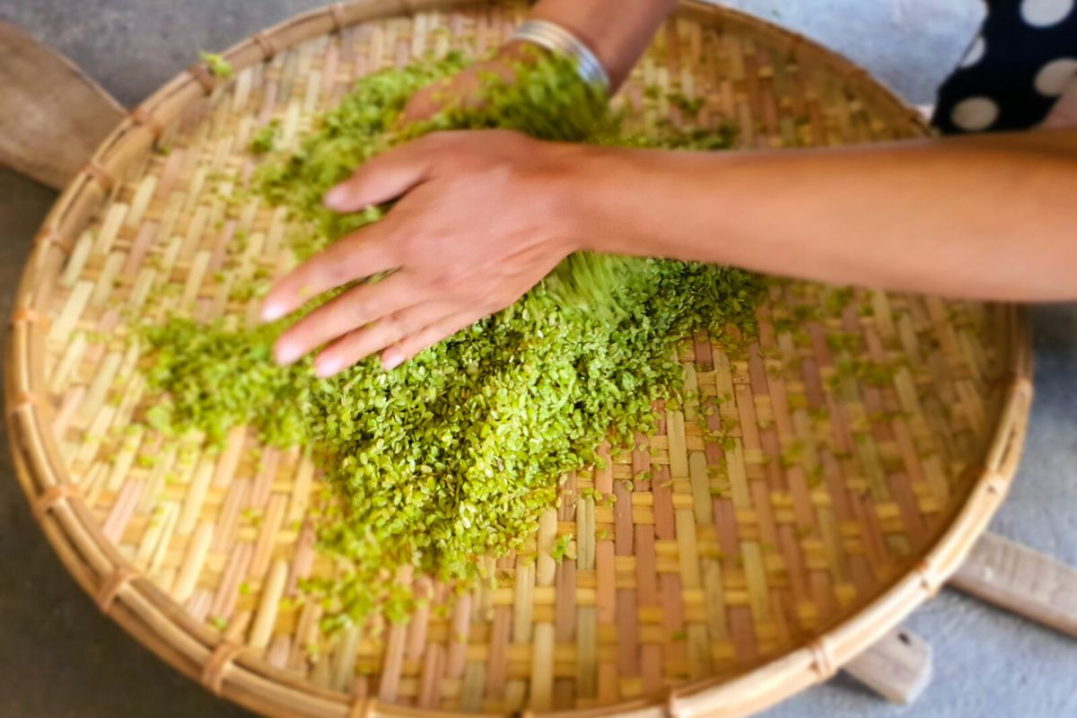 green rice flakes in Mu Cang Chai Vietnam